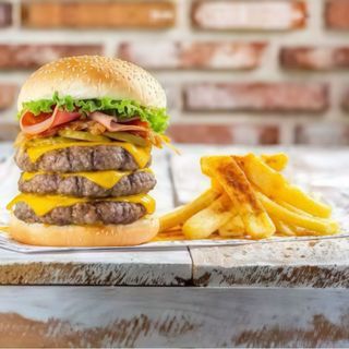 Bruto burger special 500 gr