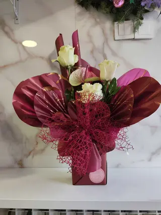 Elegant bordo 2
