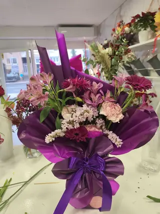 Elegant ljubičasti