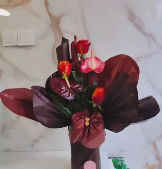 Elegant bordo 3