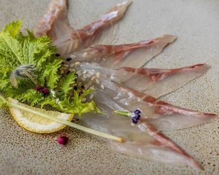 42 Carpaccio pesce bianco