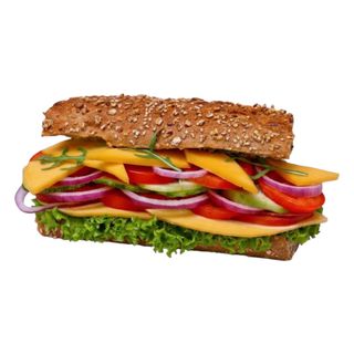 Dutch Cheese Sandwich (with sauce)