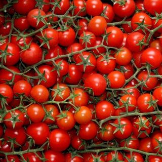 Ciliegino 1 kg