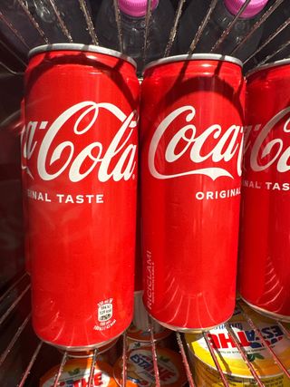 Coca-Cola Lattina 330 ml