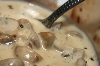 Cogumelos Silvestres em Seu Creme
