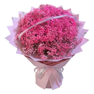 Pink Baby's Breath