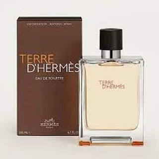 Hermes Terre D'Hermes Eau de Toilette, 100ml