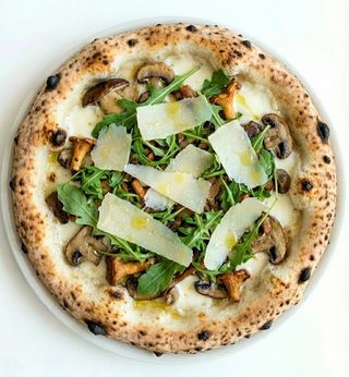 Del bosco normale