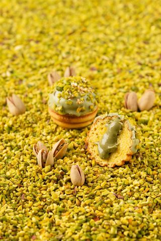 Elfo tritato 3 pezzi