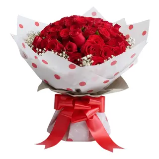 The 6 Dozen Rose Collection