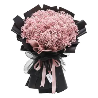 Grand Baby's Breath Cloud