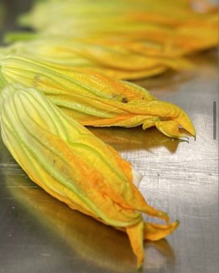 Fiori di zucca ripieni di mozzarella e alici