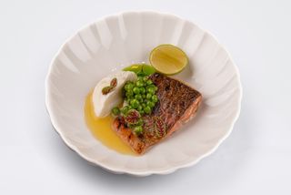 Форель с муссом из цветной капусты (310г)