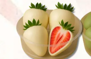 Fragole