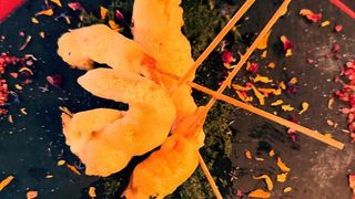 Gamberoni in tempura su battuto di basilico