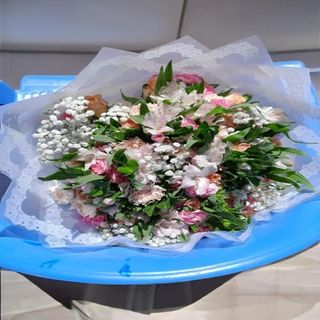 Carnations/Astro Bouquet