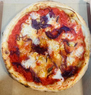 Gorgo cipolla