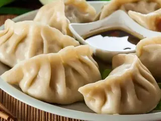 Gyoza carne