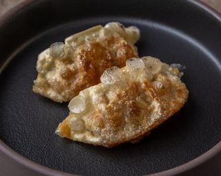 15 Gyoza pollo -  2 pezzi