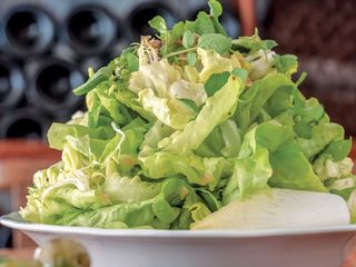 Insalata verde
