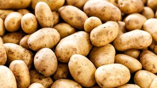 Fresh Potatoes, 500g