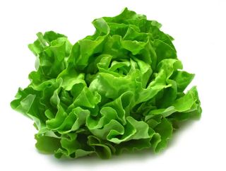 Wrapped Lettuce, 1 Piece