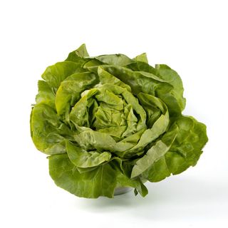 Lattuga nostrale