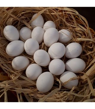 Uova bianche fresche allevamento a terra confezione da 6