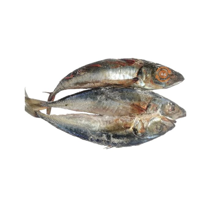 Kote (20Kg)