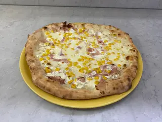 Mimosa