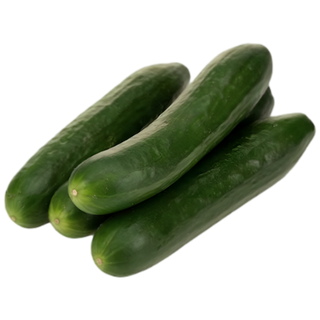 ENGLISH CUCUMBER PER KG