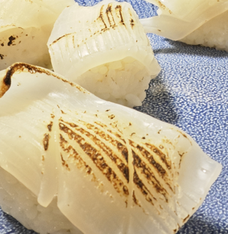 Calamaro nigiri