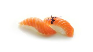 Nigiri salmone
