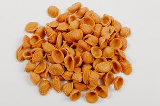 Orecchiette al peperoncino pugliesi 500 g