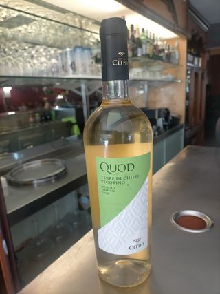 Pecorino