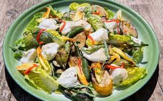 Piatto vegetariano