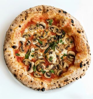 Porcini normale