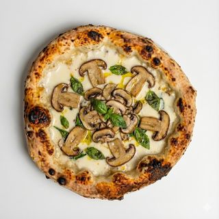 Porcini