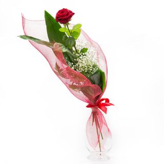 1 Rosa rossa con velo da sposa