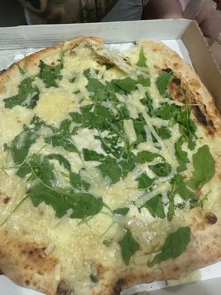 Rucola 