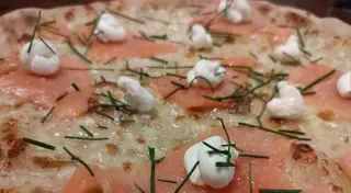 Salmone