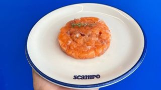 Tartare di salmone