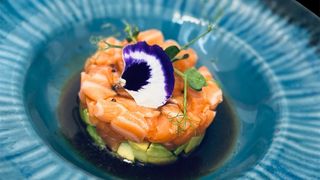Salmone tartare
