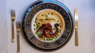 Tentacolo di polipo