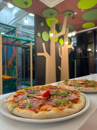 Twins Land pizza 590g