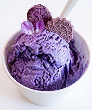 Ube gelato