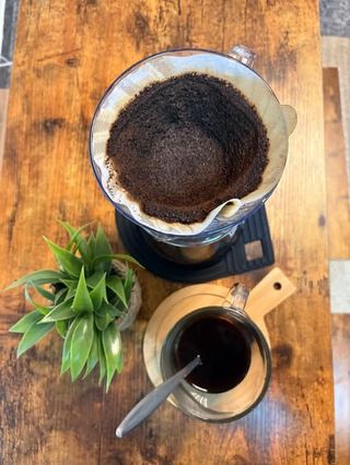 V60 Filtro