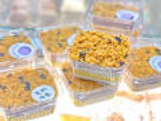 Vaschetta di taro mochi 37 cl