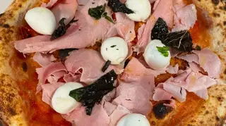 Vasinicola