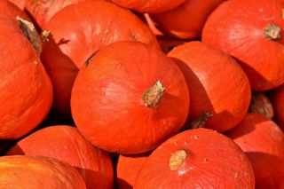 Zucca rossa 1 kg